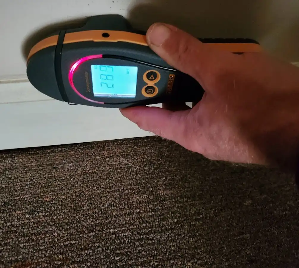 Moisture detection at baseboard during Burst Pipe Cleanup in Evans